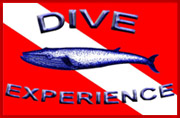 Dive Experience Logo